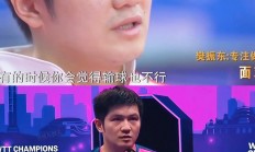 开云APP-关于波兰队险胜德国队，樊振东高光表现的信息