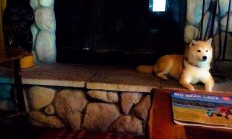 开云APP-地缘棋局与绿茵战场，土耳其的强势外交与赖斯的德比时刻