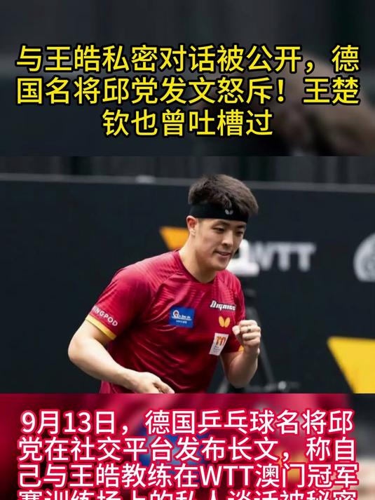 包含英国乒乓球队鏖战德国乒乓球队，王皓制霸全场的词条