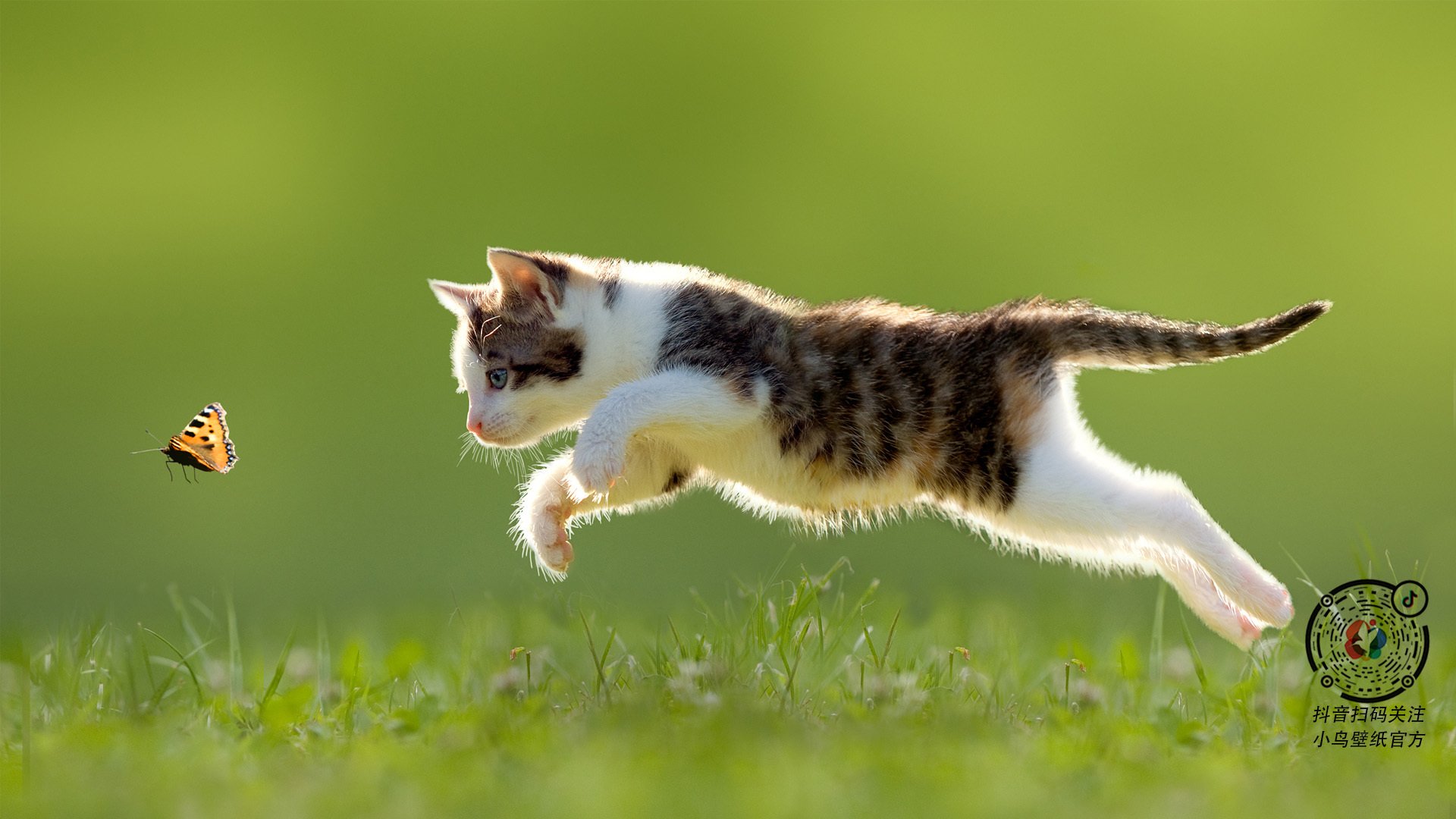 奇迹的终章,阿圭罗爆发与西班牙绝杀,一场定义时代的足球史诗