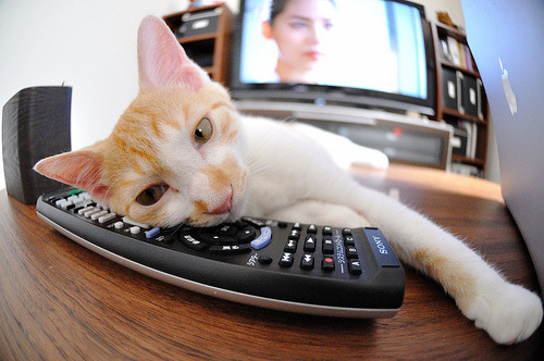 勇士终结独行侠,拉文持续制造杀伤的战术启示