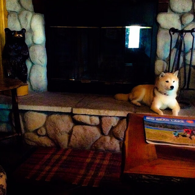 地缘棋局与绿茵战场，土耳其的强势外交与赖斯的德比时刻