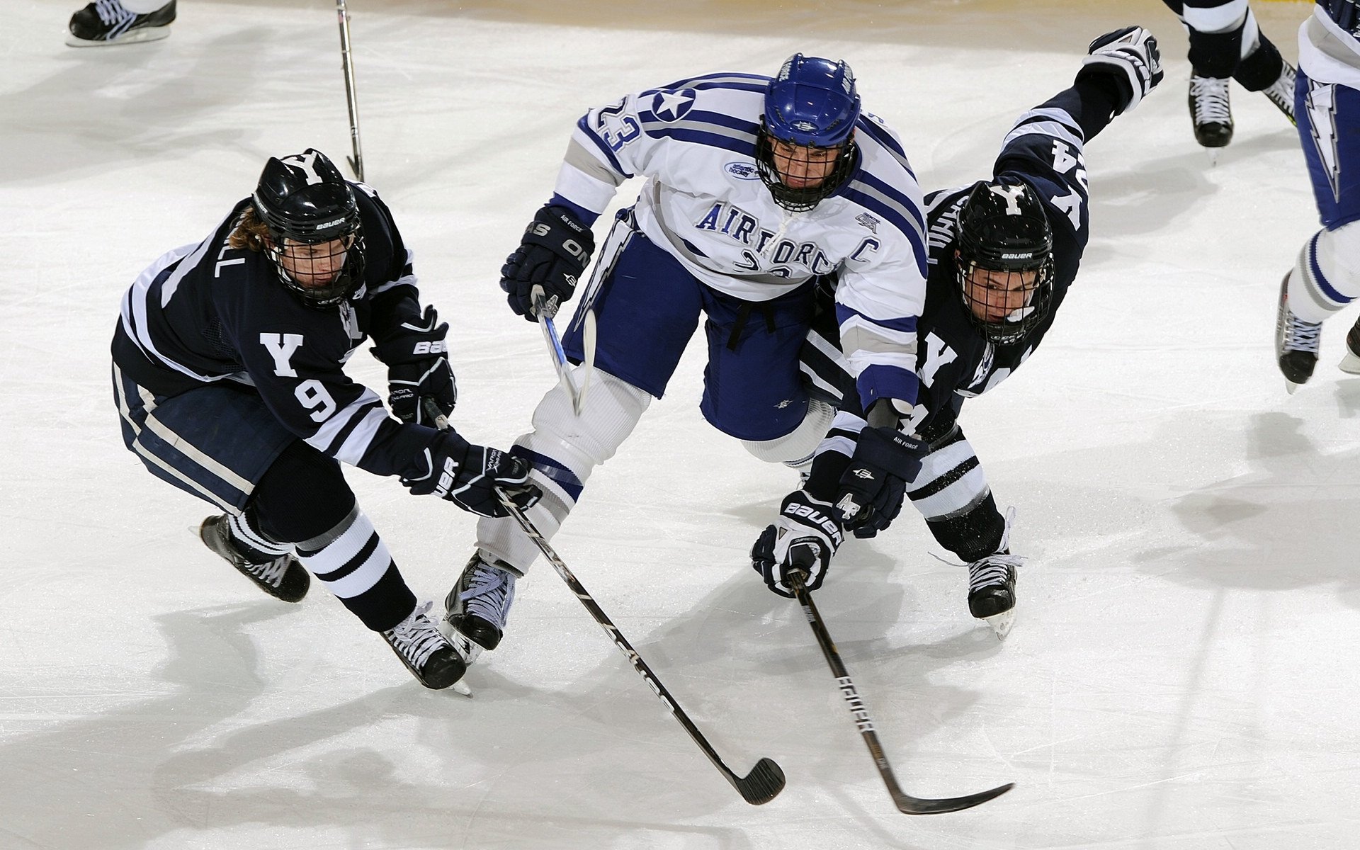 从潘帕斯雄鹰到沙漠之鹰,坎特如何成为阿根廷制霸沙特的关键先生