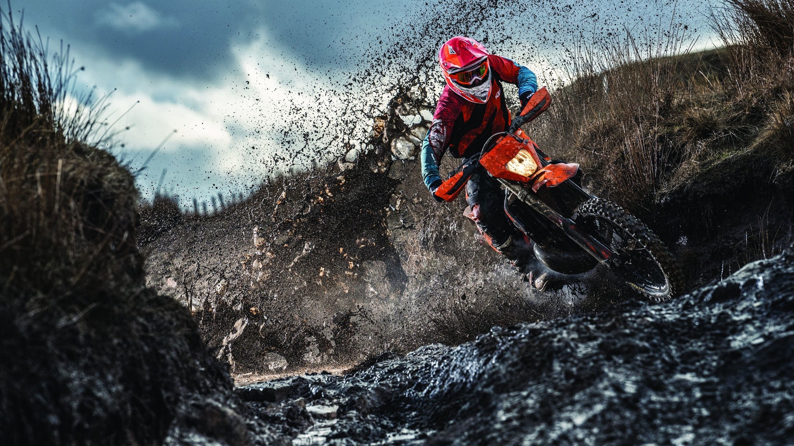 横扫与燃烧，爵士的团队风暴与胡金秋的炽热独舞